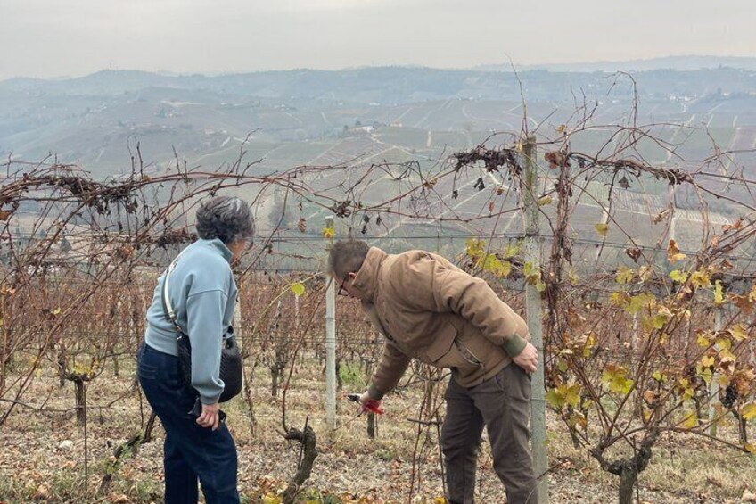 Wine Tasting with a View on the Border of Barbaresco 4