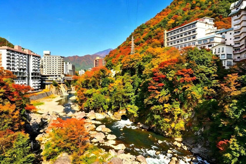 Picture 3 for Activity Nikko Small Group Tour: Toshogu Shrine & Kegon Falls 3