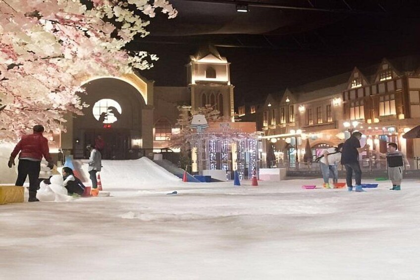 Dream World and Snow Town Entry ticket with Optional Buffet Lunch 2
