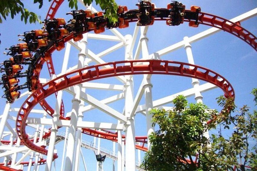 Dream World and Snow Town Entry ticket with Optional Buffet Lunch 5