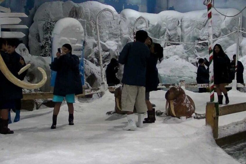 Dream World and Snow Town Entry ticket with Optional Buffet Lunch 3