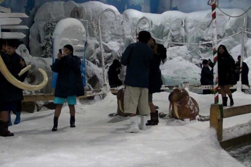 Dream World and Snow Town Entry ticket with Optional Buffet Lunch 4