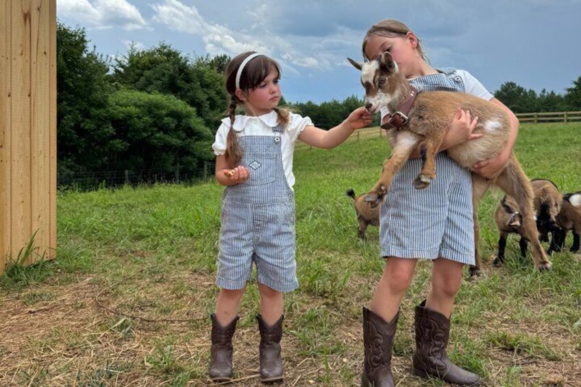 Farmyard Adventure and Animal Interaction Experience 2