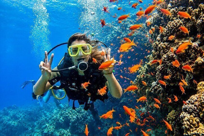 A diver underwater surrounded by vibrant orange fish. 1