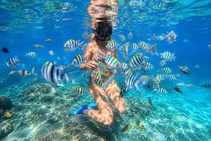 A person snorkeling underwater surrounded by fish. 5