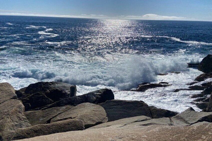 Private Tour from Halifax Peggy Cove and Lunenburg 4