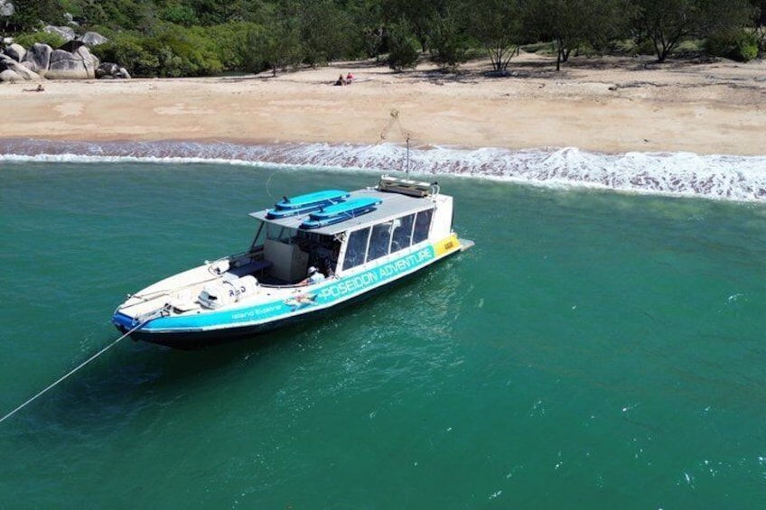 Whale Watching Tour in Townsville 3