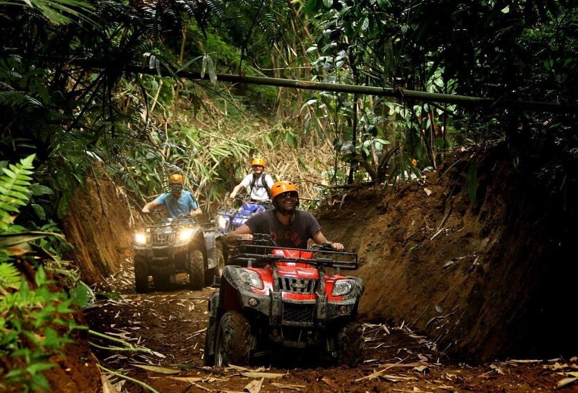 Picture 1 for Activity Bali ATV Quad Or UTV Buggy Adventure | Choose Your Option 2