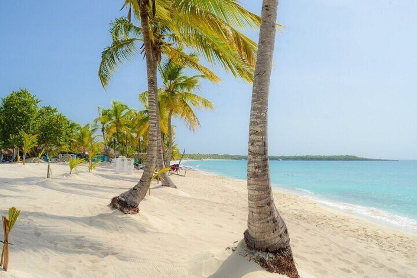A beach with palm trees, clear blue water, and a sandy shore. 4