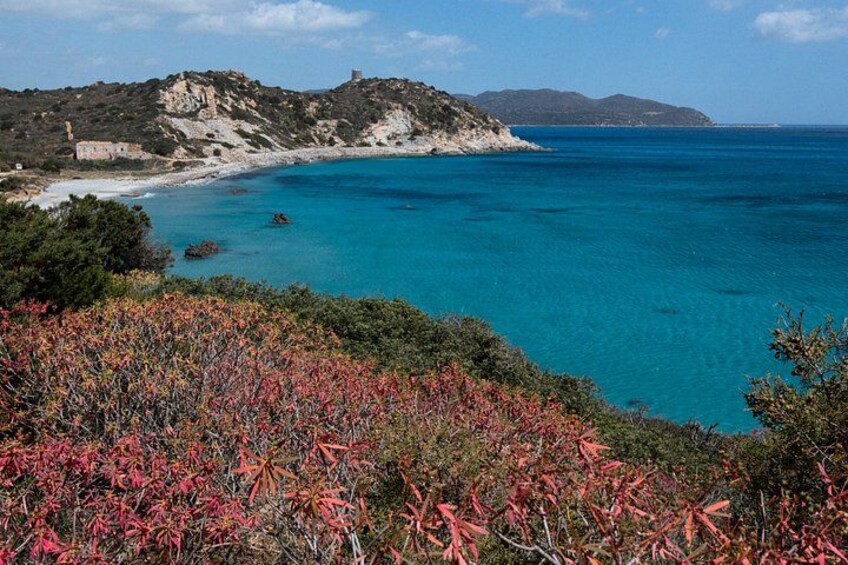 A coastal landscape with a clear blue sea, rocky cliffs, and red foliage. 4