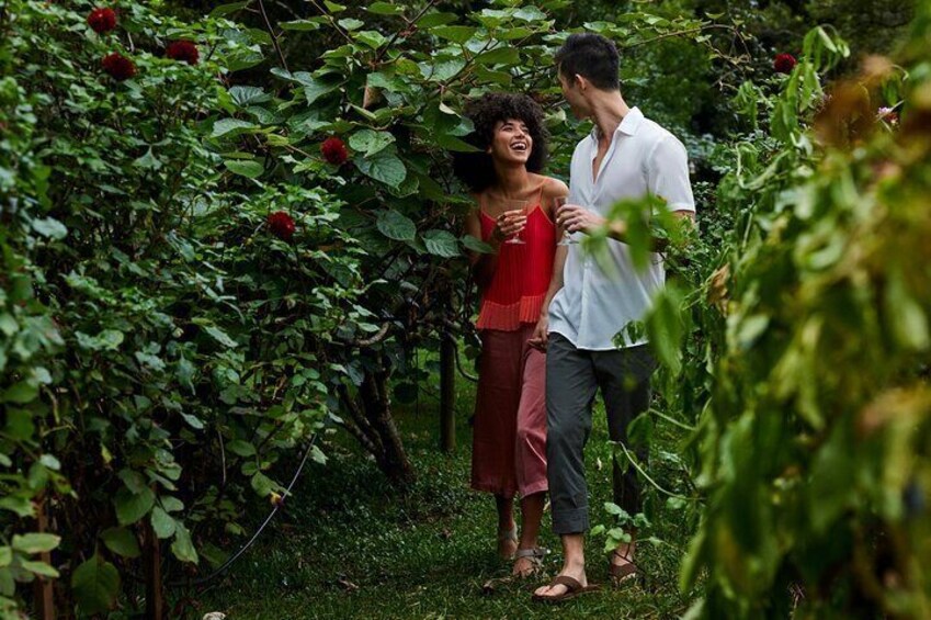 Winery and Organic Garden Tour with Wine Tasting in Holgate 3