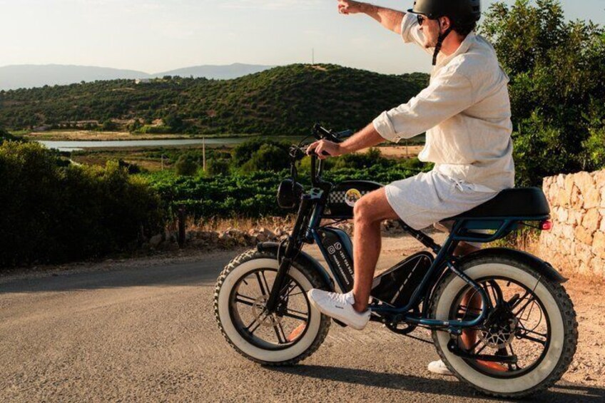 Algarve, Silves Castle E-Bike Tour with Local Guide 4
