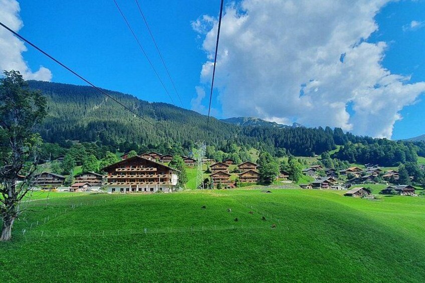 Mount First Cable Car and First Cliff Walk Grindelwald 1