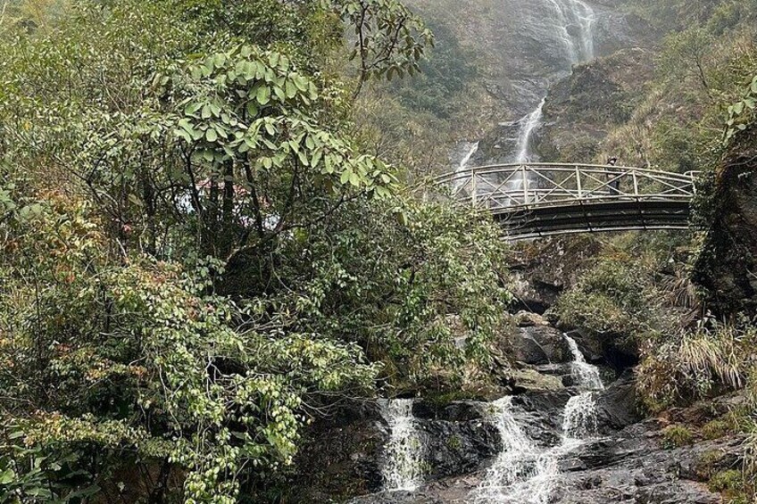 Un pont enjambant une cascade, entouré d’une végétation luxuriante. 3