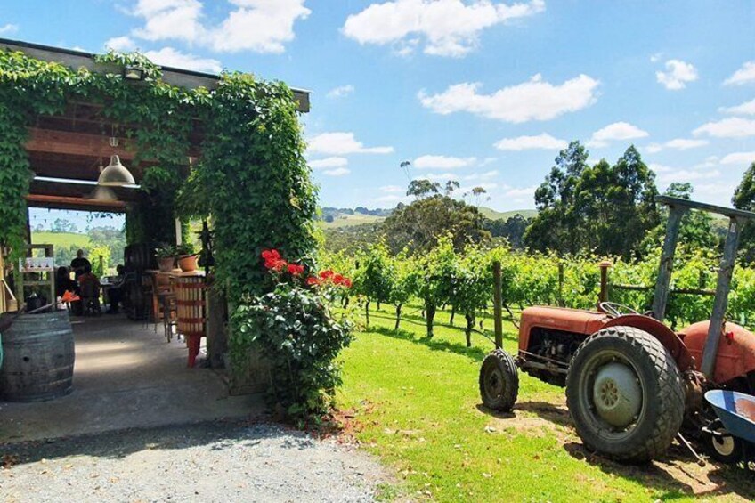 Discover Hidden Wineries in Melbourne Boutique Wine Tour Series 5