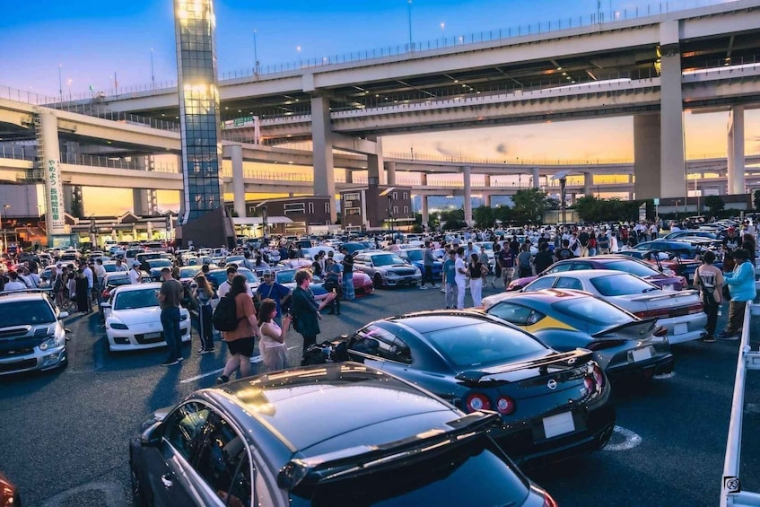 Daikoku Cruise Tour 1