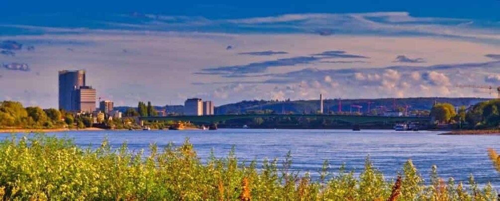 A river with a bridge, city skyline, and greenery. 4