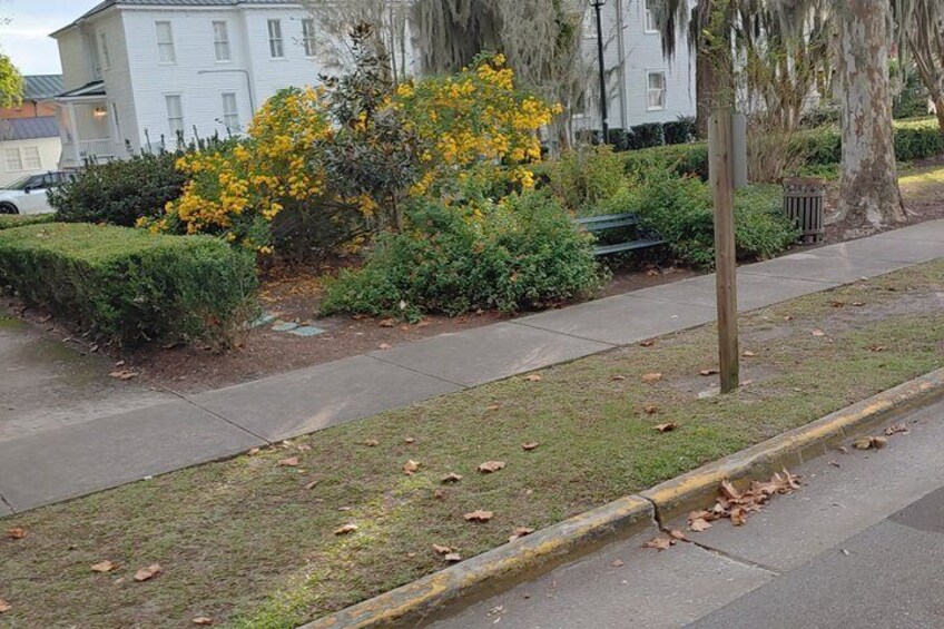 History Walking Tour through Beaufort 2