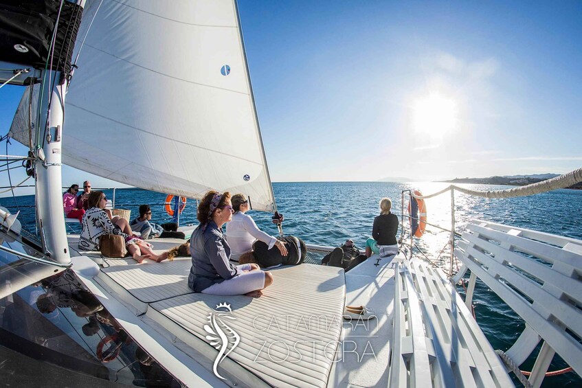 Picture 1 for Activity Caleta de Vélez: 1.5-Hour Catamaran Tour 2