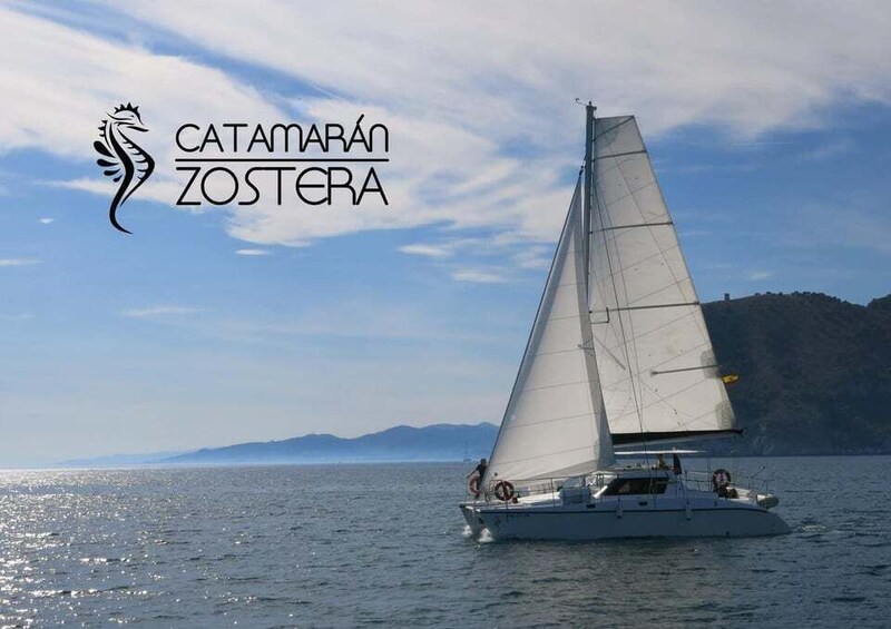 Picture 3 for Activity Caleta de Vélez: 1.5-Hour Catamaran Tour 3