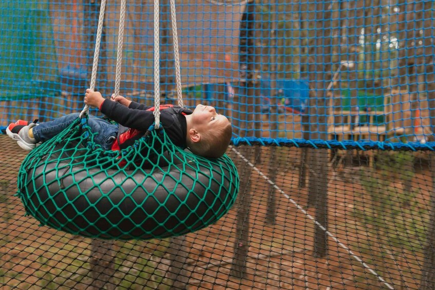 Picture 3 for Activity Canberra: Networld Treetop Adventure 5