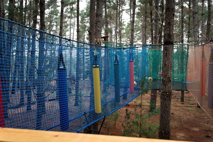 Canberra: Networld Treetop Adventure 1