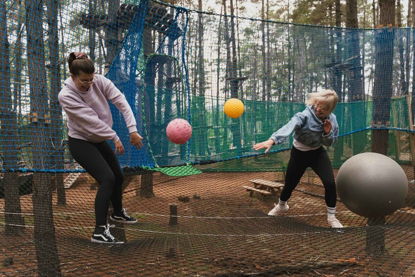 Picture 4 for Activity Canberra: Networld Treetop Adventure 3
