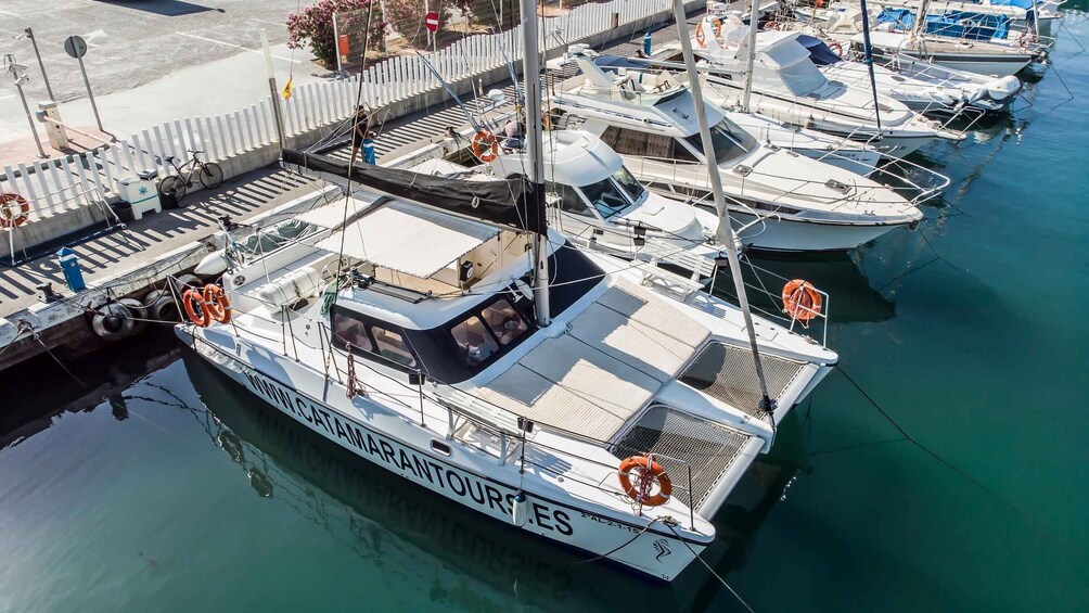 Picture 1 for Activity Caleta de Vélez: 2-Hour Catamaran Sightseeing Tour 3
