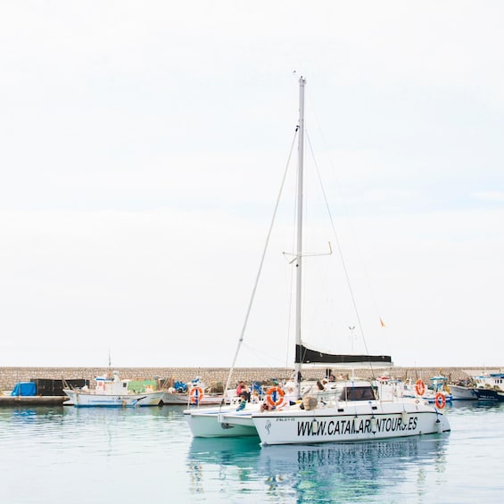 Caleta de Vélez: 2-Hour Catamaran Sightseeing Tour 1