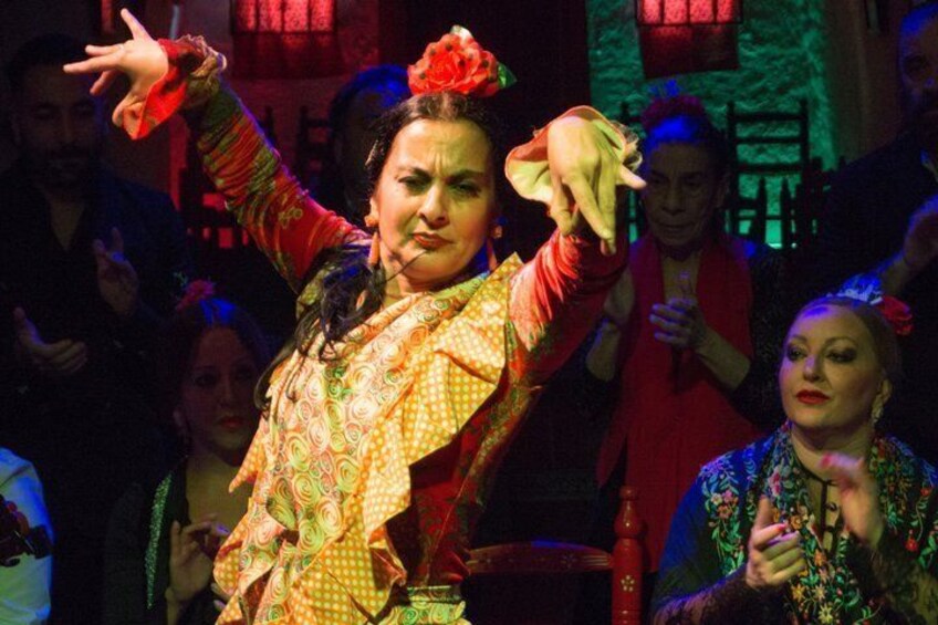 Flamenco and Andalusian Dinner Show in the Caves of Granada 4