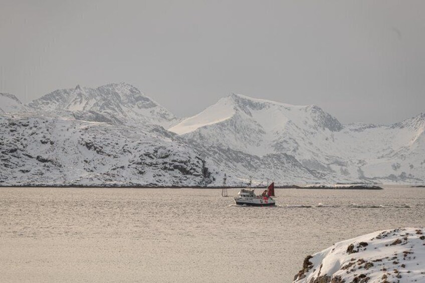 Private Fjord Tour to Sommaroy from Tromso 2