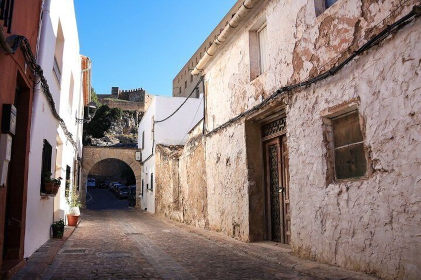 Private Shore Tour: Journey Through Civilizations 1