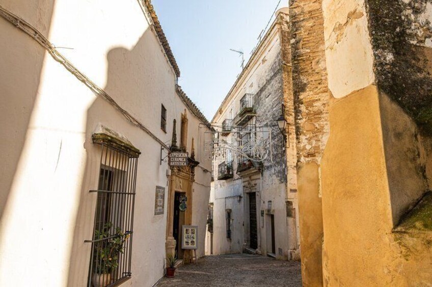 Private Shore Tour: Journey Through Civilizations 4