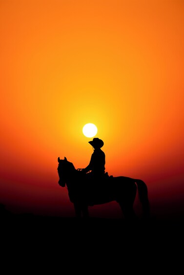 A silhouette of a person riding a horse against a sunset. 3