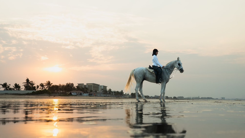 A person riding a horse on a beach at sunset. 1