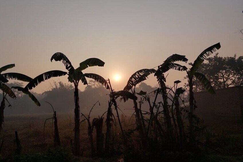 Morning in Village 5