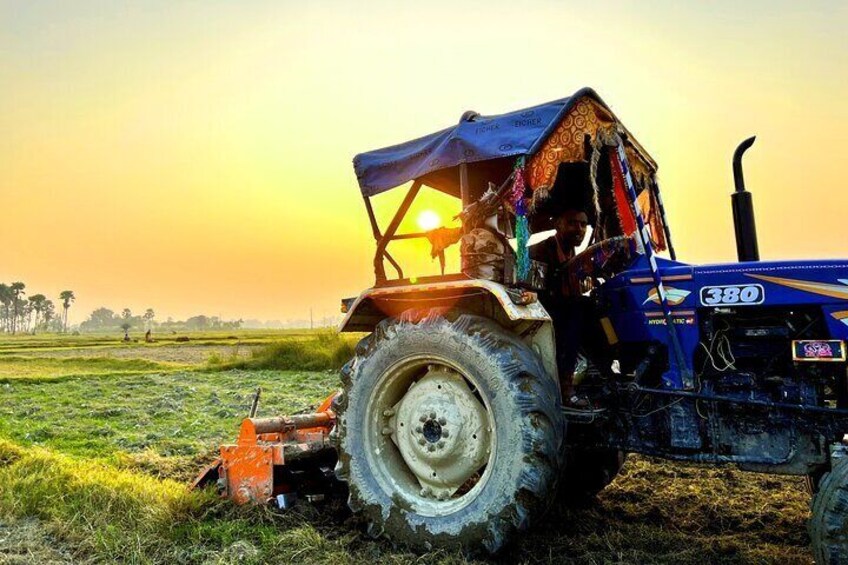Farming in Village 3