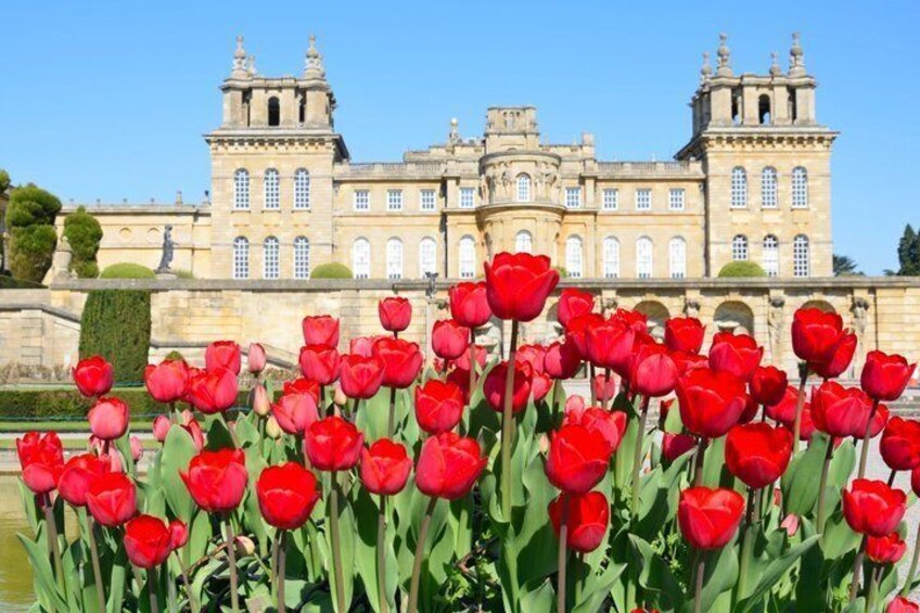 A historic building with red tulips in the foreground. 2