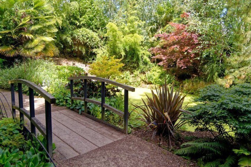 A wooden bridge in a lush garden with various plants and trees. 5