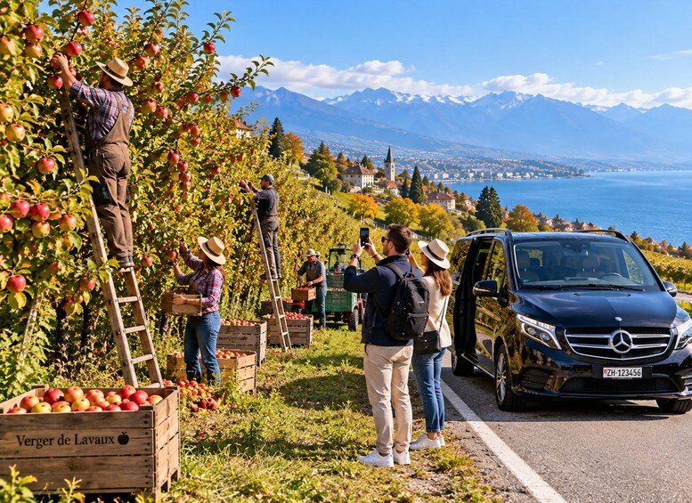A vineyard with people picking apples, a Mercedes car, and a mountainous landscape in the background. 4