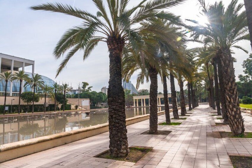 Valencia Bike Tour from Old Town to City of Arts and Sciences 2