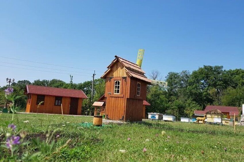 Full day tour to Plaiul Fagului Reserve, Honey & Monastery 5