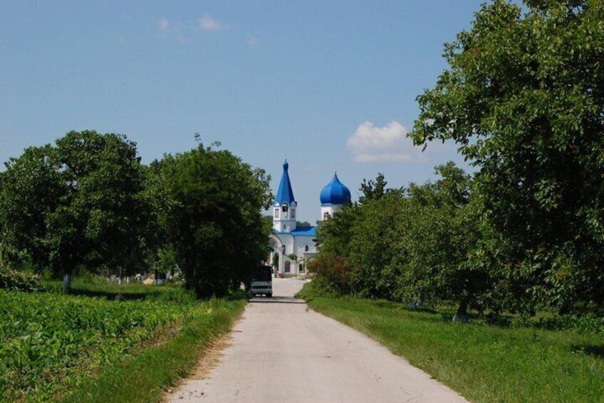 Full day tour to Plaiul Fagului Reserve, Honey & Monastery 3