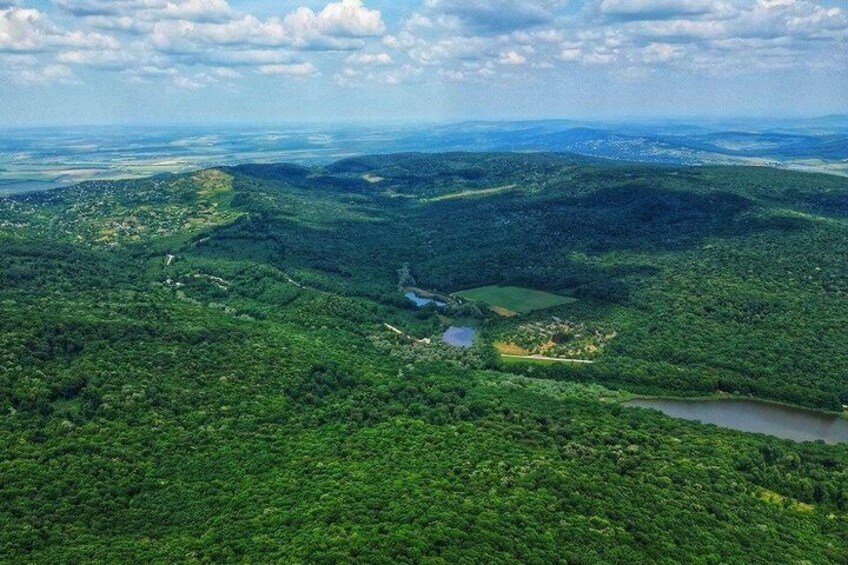Full day tour to Plaiul Fagului Reserve, Honey & Monastery 1
