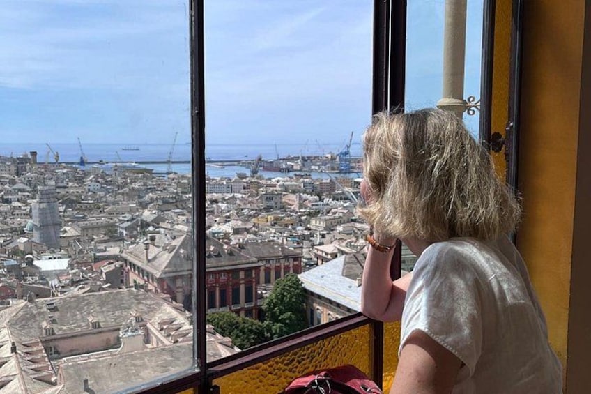 A person looking out of a window at a cityscape with buildings and construction cranes. 1