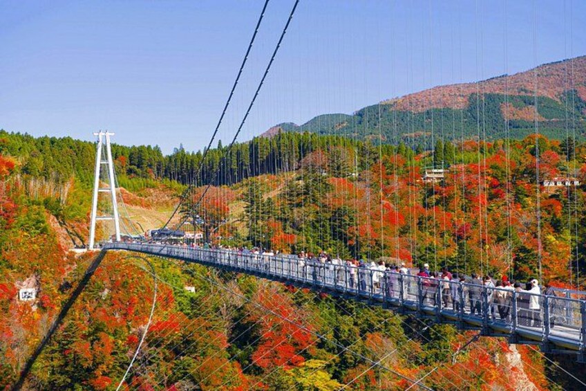A suspension bridge with a cable system, surrounded by autumn-colored trees and hills. 1