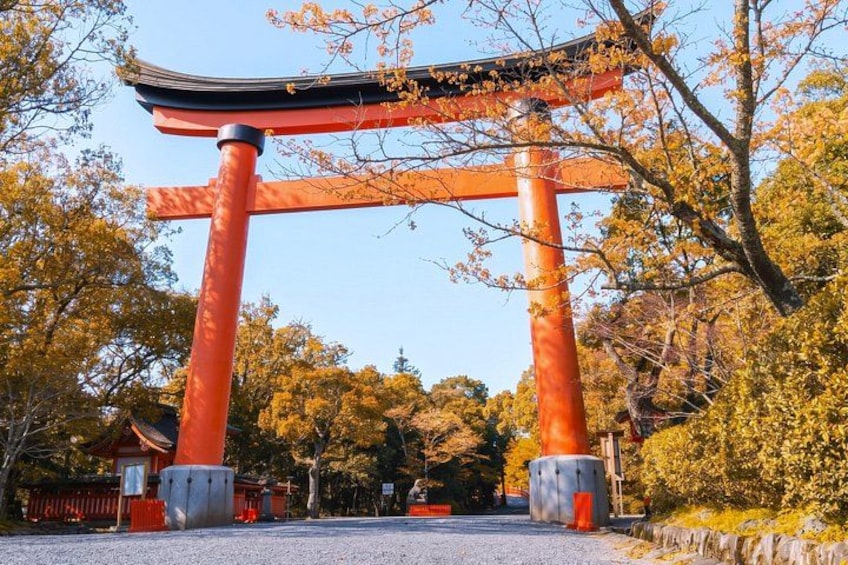 A traditional Japanese torii gate with a curved roof, surrounded by autumn foliage. 4
