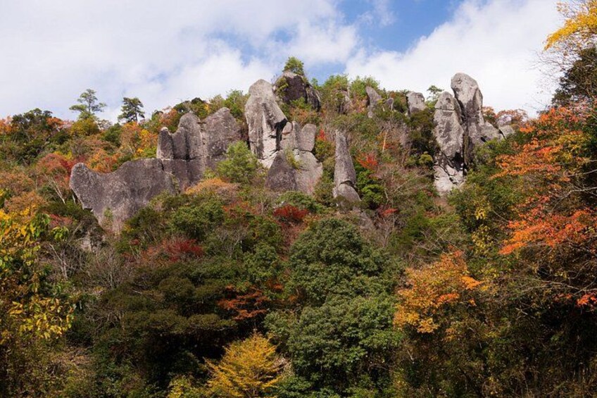 A rocky outcrop with autumn foliage. 5