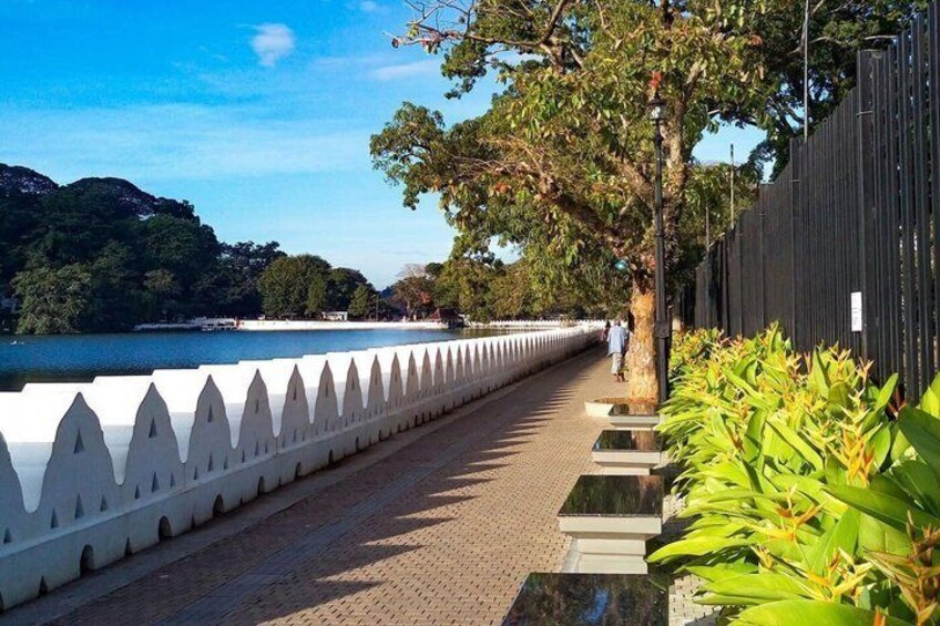 A paved walkway with a white decorative railing, a tree, and a body of water in the background. 4