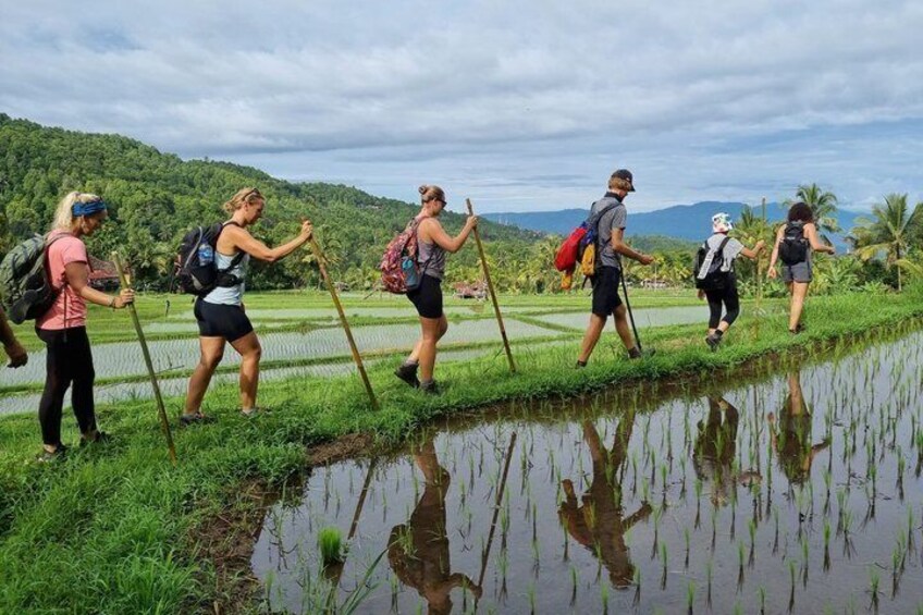 Astungkara Trail 10 Day Bali Coast to Coast Walking Pilgrimage 4